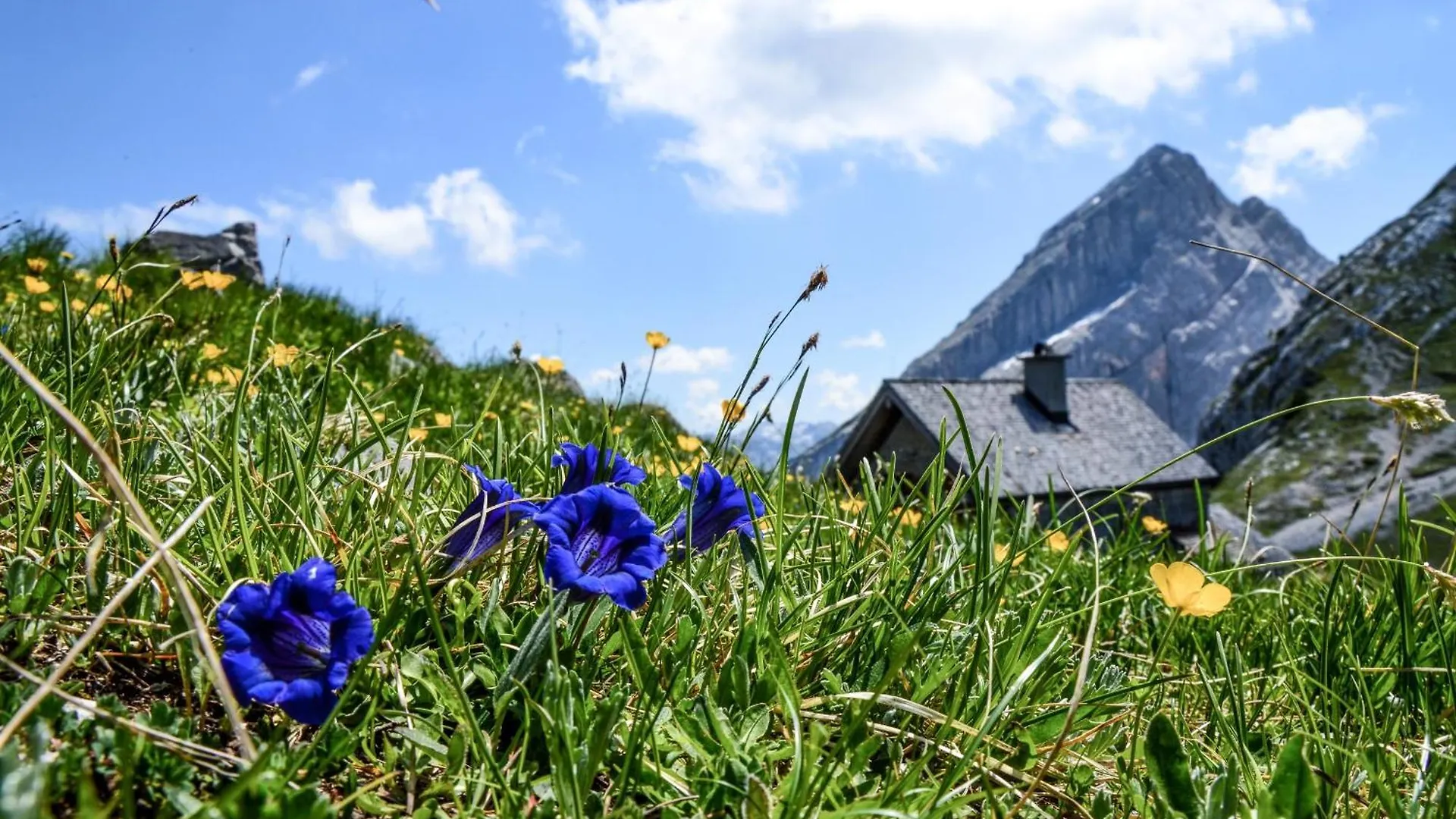 酒店 Haus Berggesundzeit Doppelzimmer Kaerlingerhaus Schönau am Königssee 德国